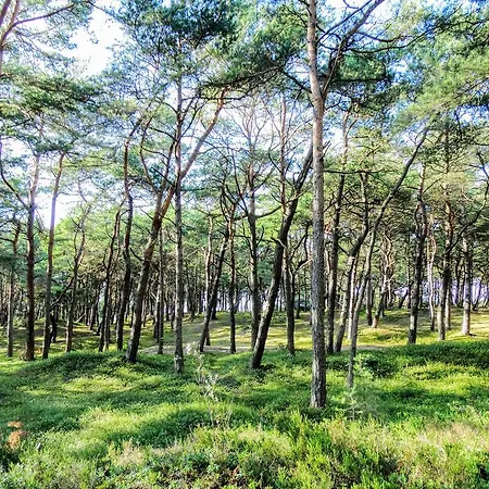 Tatil Evi 8-osobowy Drewniany Andrzej Choczewo