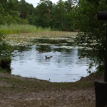 8-osobowy Drewniany Andrzej