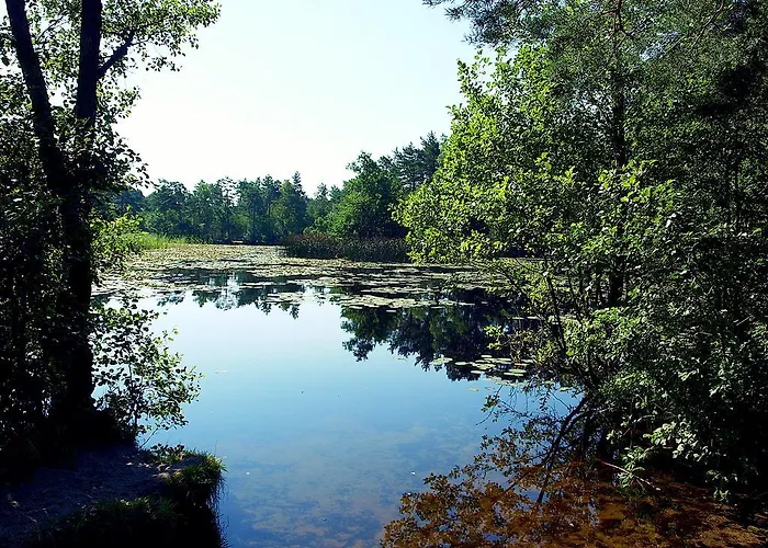 Semesterbostad 8-osobowy Drewniany Andrzej Choczewo