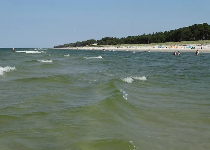 8-osobowy Drewniany Andrzej Semesterbostad