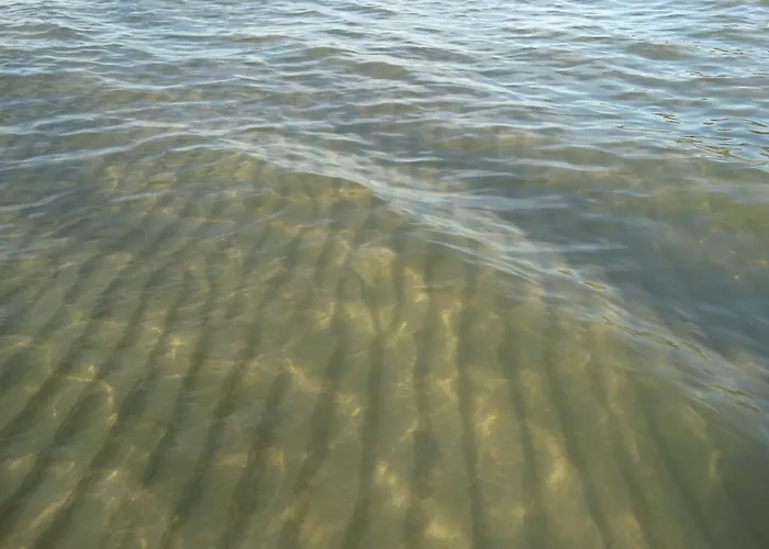 8-osobowy Drewniany Andrzej *