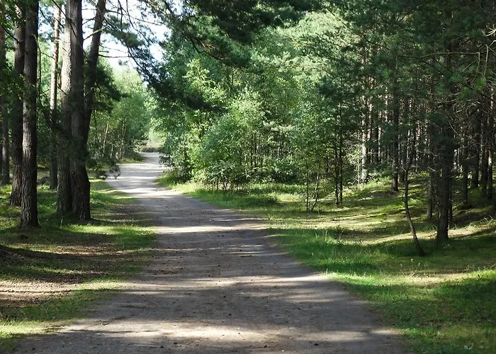 8-osobowy Drewniany Andrzej Semesterbostad *