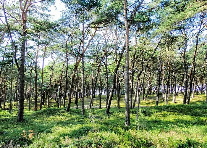 Semesterbostad 8-osobowy Drewniany Andrzej Choczewo