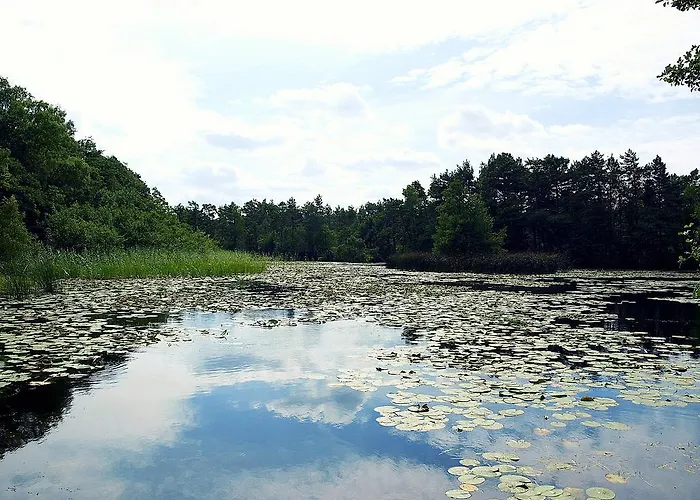 8-osobowy Drewniany Andrzej 別荘 *